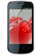 Best available price of Celkon A19 in Seychelles
