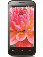 Best available price of Lava Iris 505 in Seychelles
