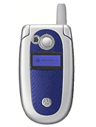 Best available price of Motorola V500 in Seychelles