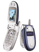 Best available price of Motorola V560 in Seychelles