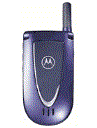 Best available price of Motorola V66i in Seychelles